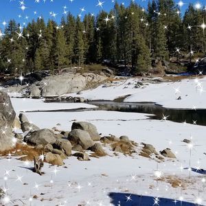 Meet your Posher, Louise